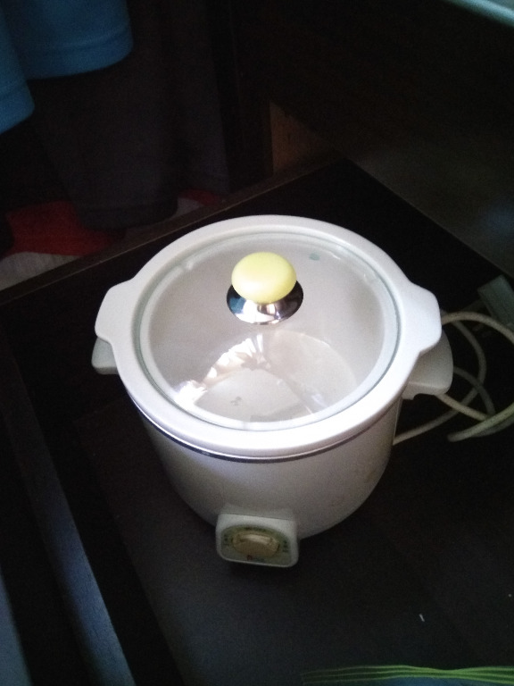 Slow cooker 1 Litre, TV & Home Appliances, Kitchen Appliances, Cookers on Carousell