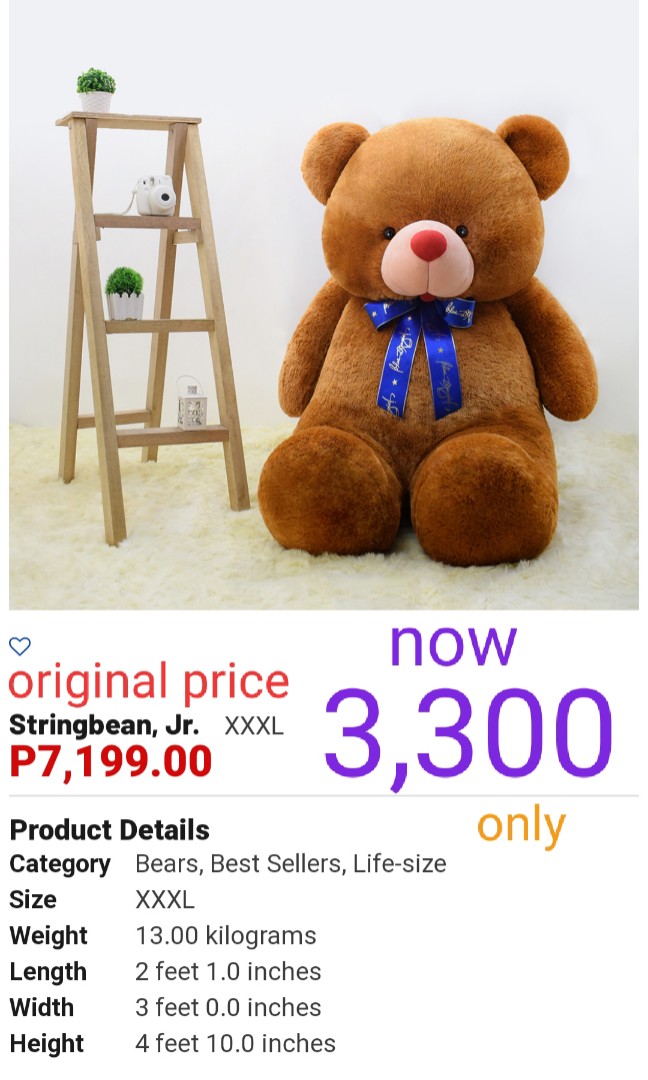 blue magic life size teddy bear price