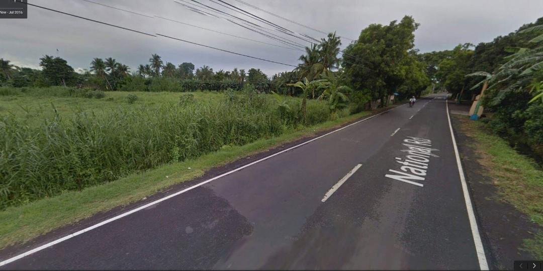 Commercial Lot for Lease Calzada, Oas, Albay, Property, For Sale, Lot