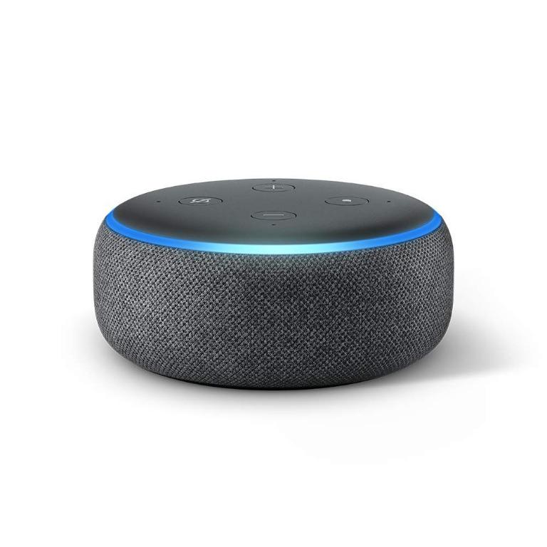 echo dot audio in