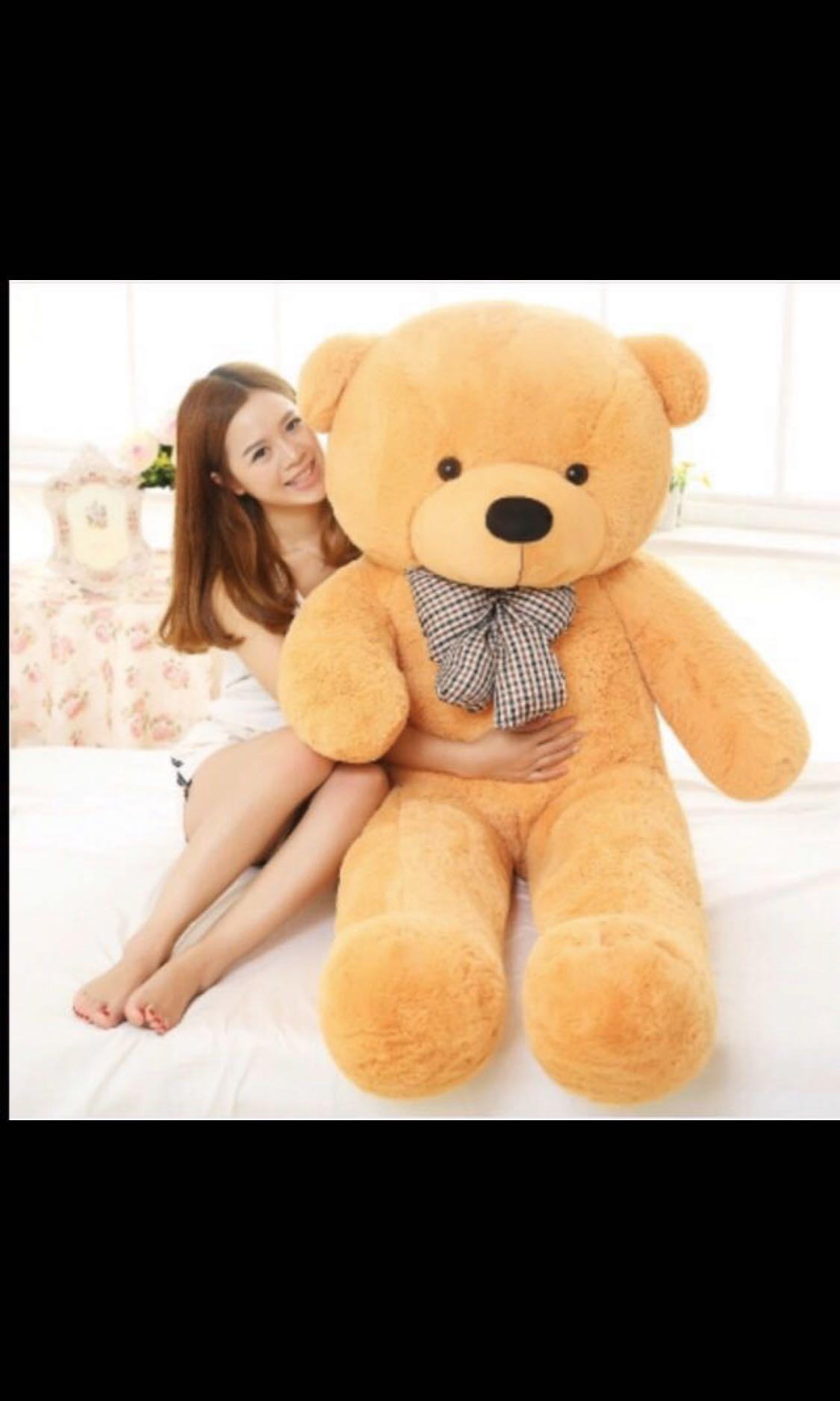 Giant Teddy Bear 0.8m 1.6m Guaranteed same day delivery