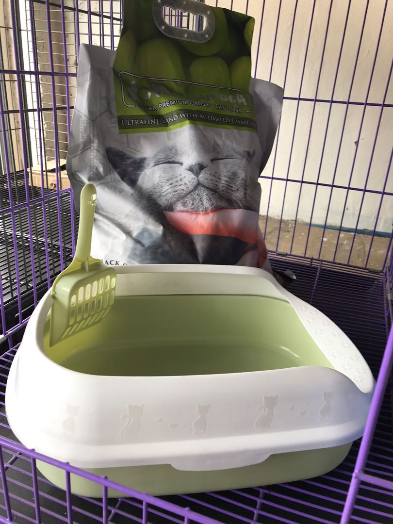 Meowtech 12.18 L + cat litter box , Pet Supplies, Homes & Other Pet