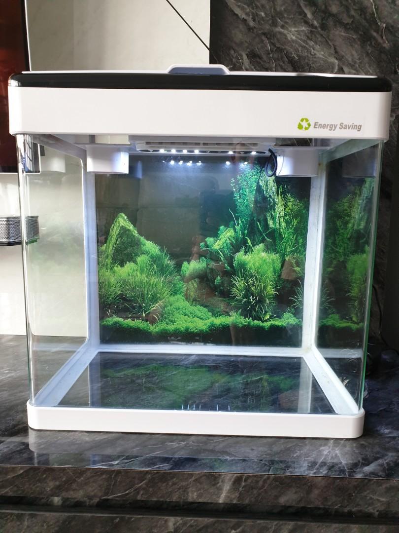 Aquacurv 380 aquarium tank, Pet Supplies, Homes & Other Pet Accessories
