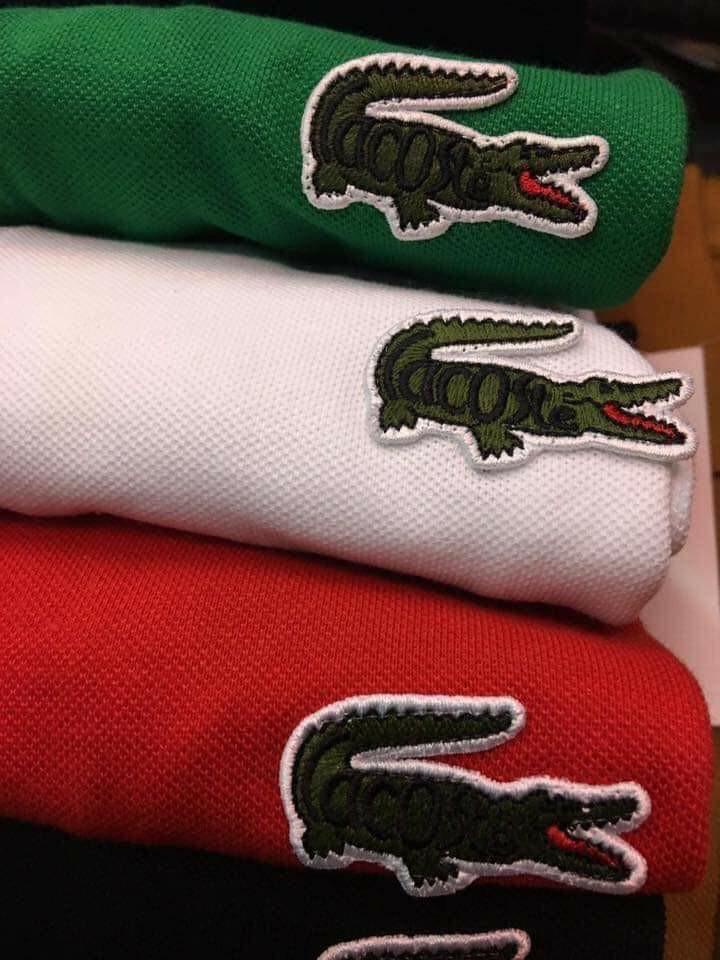 Lacoste Legendary, Men's Fashion, Tops & Sets, Formal Shirts on Carousell