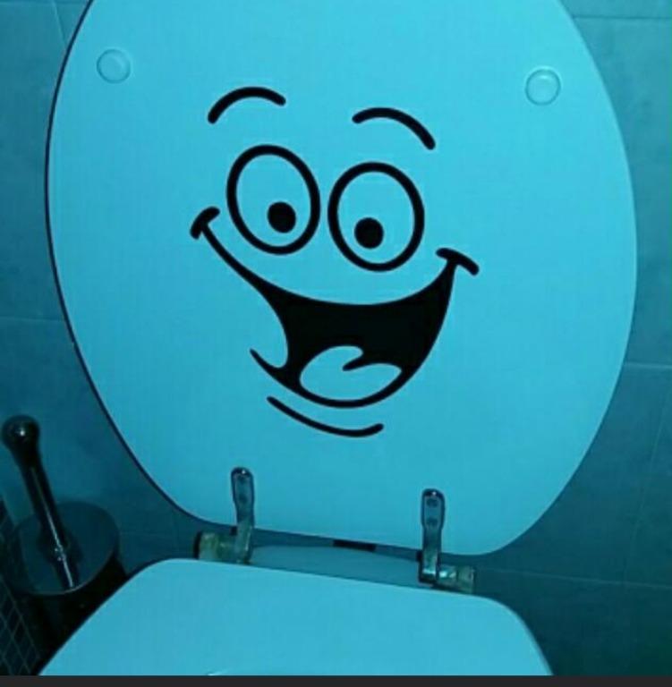 Toilet Seat Sticker, Everything Else on Carousell