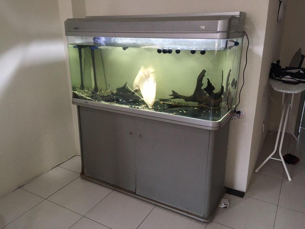 Akuarium Aquarium Tank Dan Kabinet 4 Ft Pet Supplies Pet Accessories On Carousell