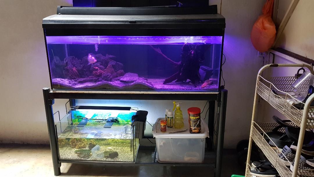 Aquarium Fish Tank 4ft Pet Supplies Homes Other Pet