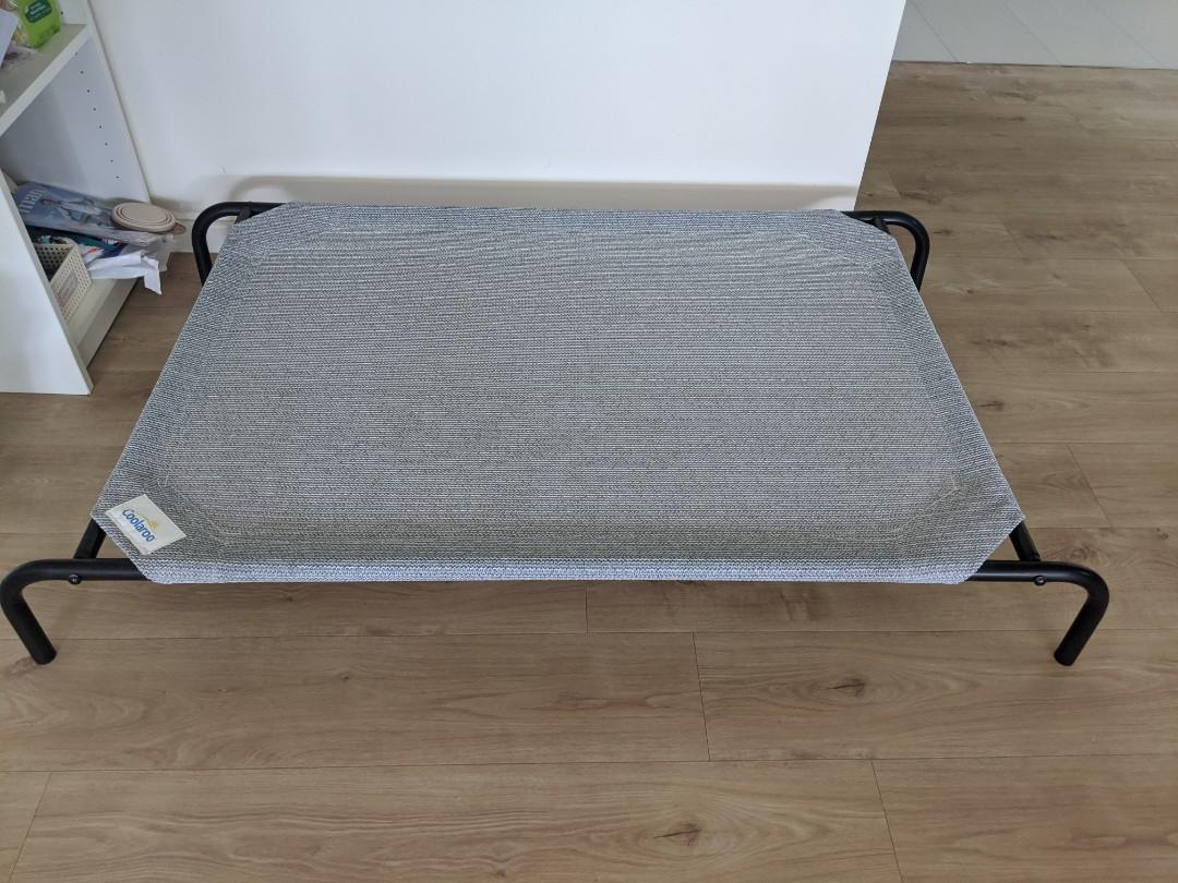 coolaroo elevated pet bed