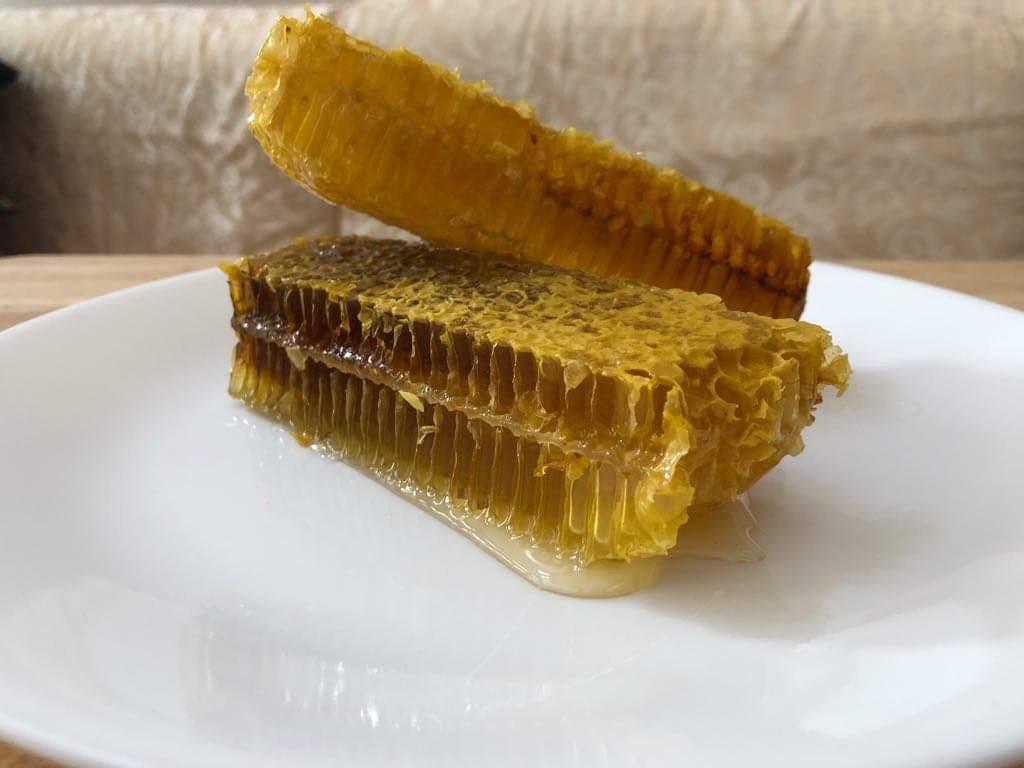 Bee Colony for sale Apis mellifera, Community on Carousell