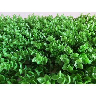 Artificial Grass Walls View All Artificial Grass Walls Ads In Carousell Philippines