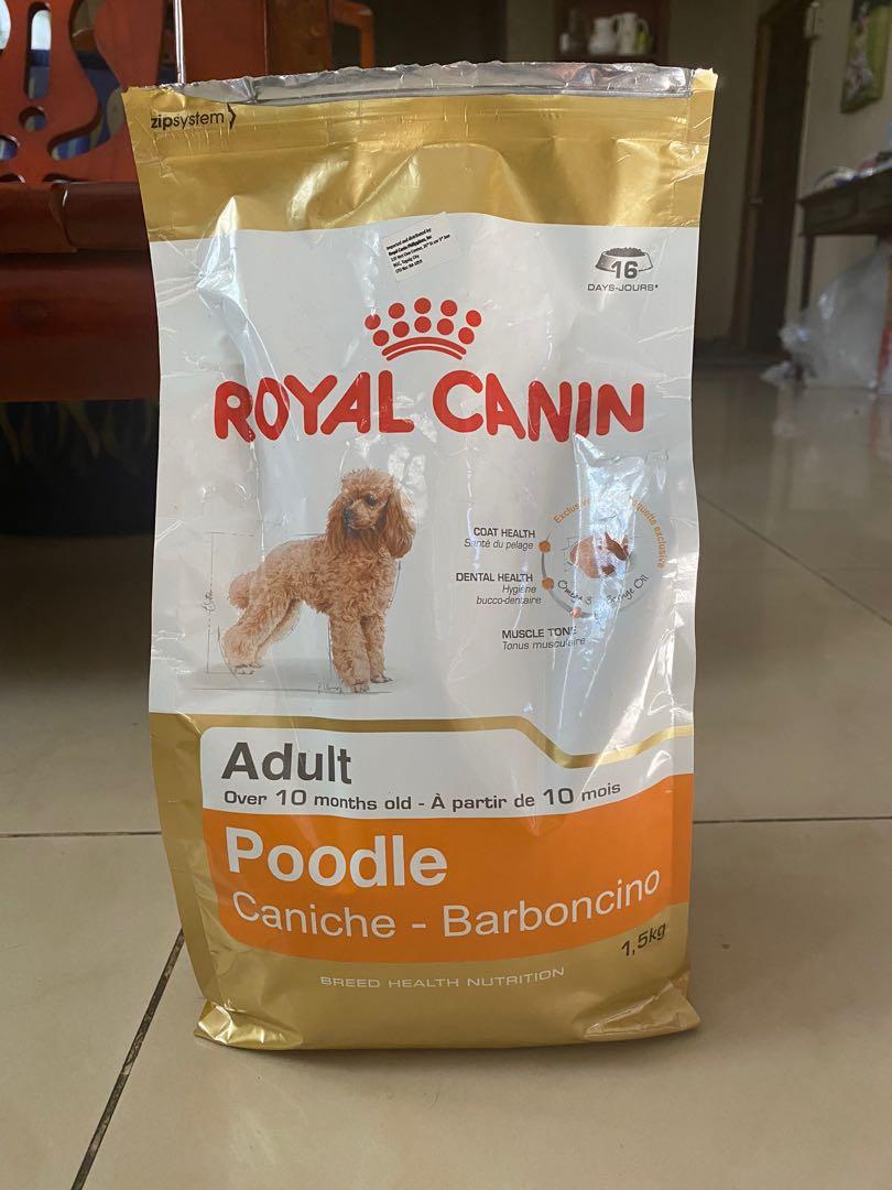 Royal Canin Dog Food For Adult Poodle Pets Supplies Pet Food On Carousell