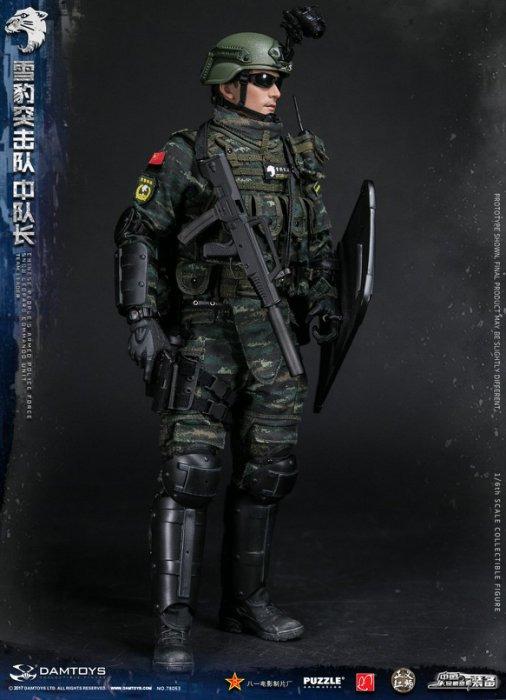 1/6 DAMTOYS 78053 中國人民武裝警察部隊特警部隊- 雪豹突擊隊 中隊長 全新現貨