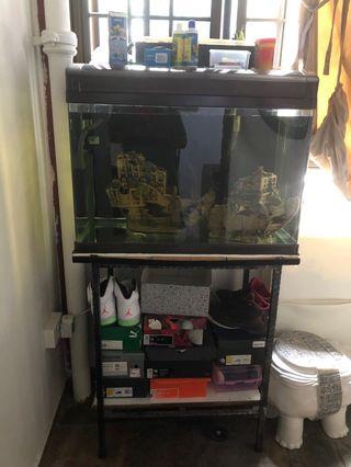 Fish Tank