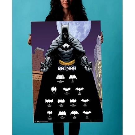 Batman - poster - Logo Evolution, Hobbies & Toys, Stationery & Craft, Art &  Prints on Carousell