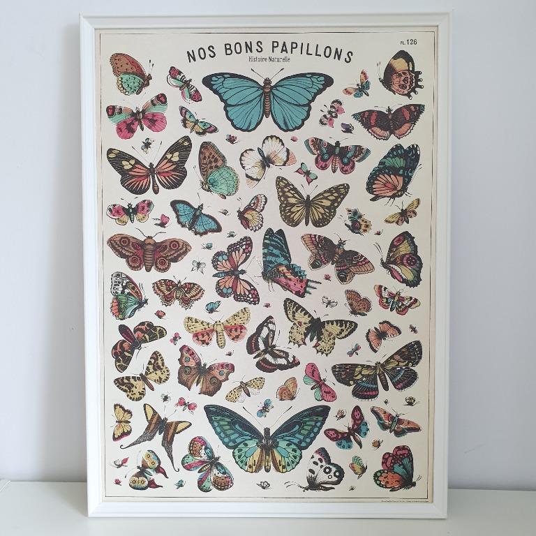 Cavallini Co French Butterfly Poster Design Craft Others On