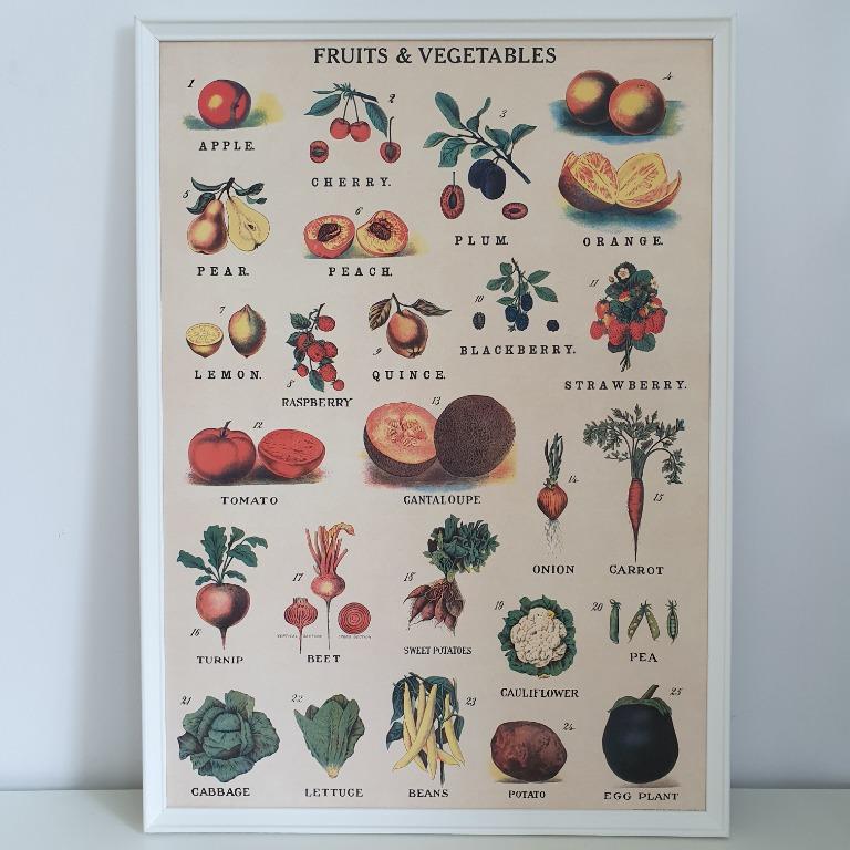Cavallini Co Fruits And Vegetables Poster Furniture Home