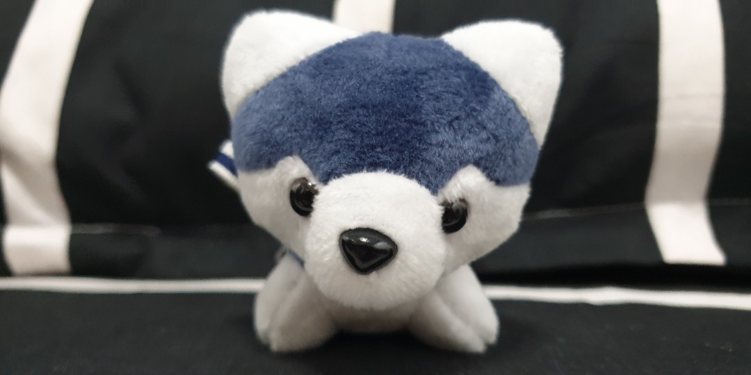 husky plush keychain