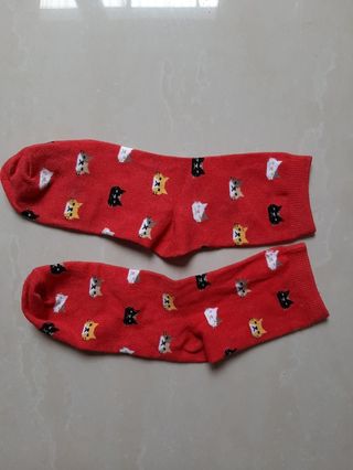 (Kategori: ) berada di . Dikirim oleh shoribellebabyshop (ID iklan 278393105, Gambar 1). Deskripsi: .