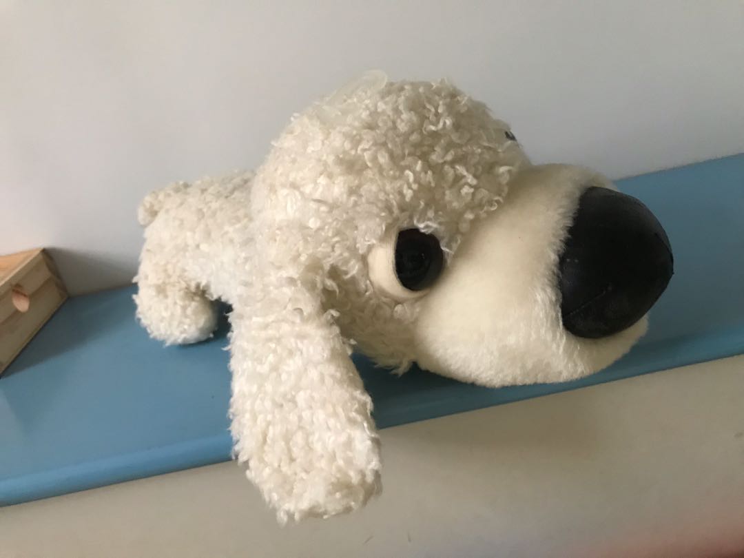 Big nose 2025 dog stuffed animal