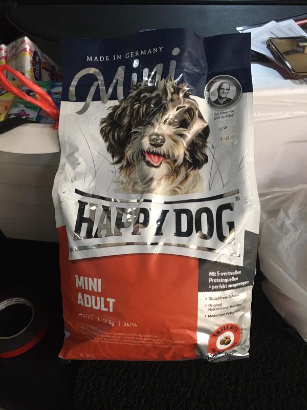 happy dog mini adult