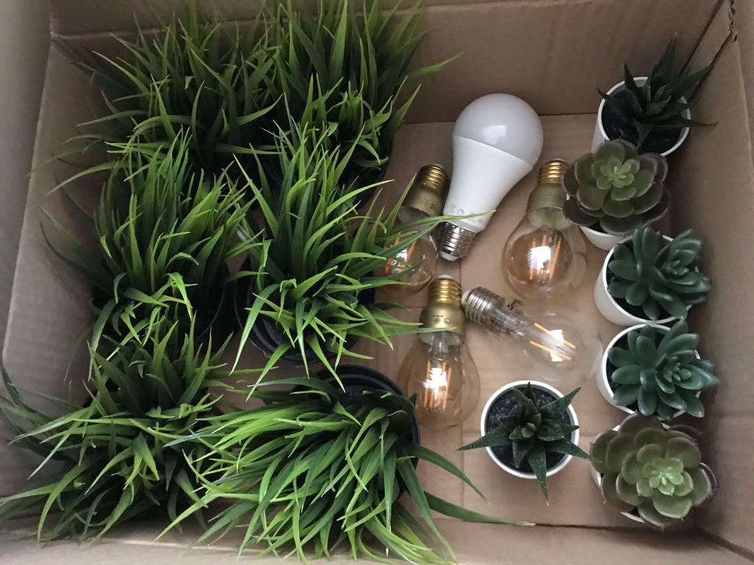 Ikea 植物擺設及led燈泡 傢俬 家居 Gardening Plants Carousell