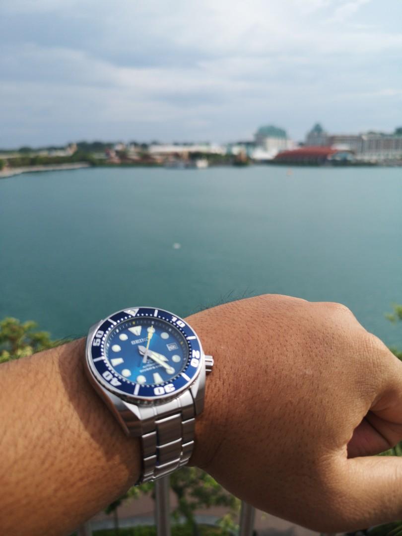 Blue coral sumo clearance