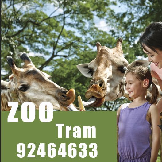 Zoo Zoo ticket Singapore zoo River wonder Night safari Garden