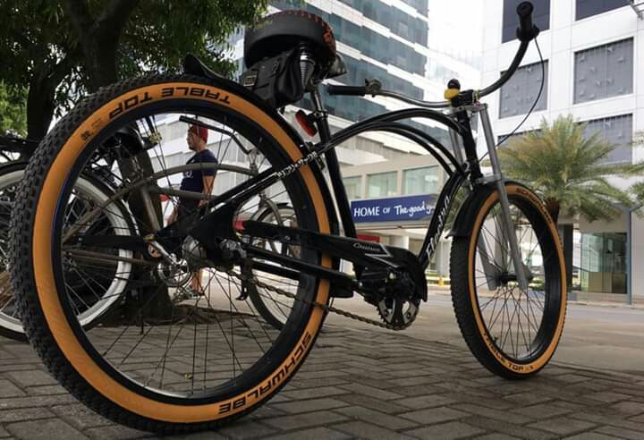 swagcycle envy rear tire