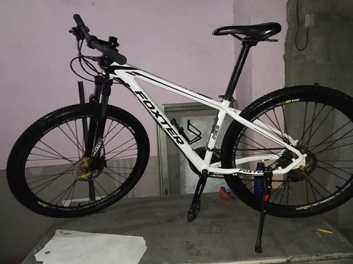 foxter evans 3.0 29er