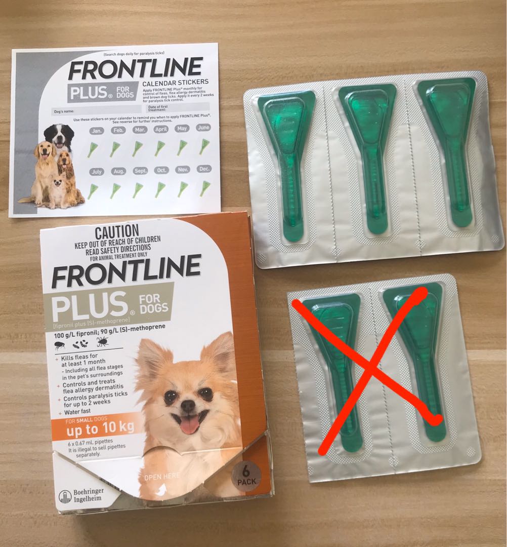 frontline plus every 2 weeks