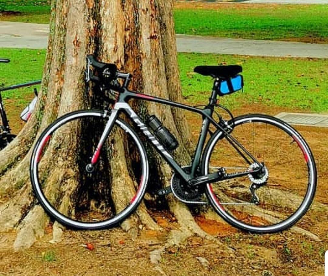 Giant TCR advanced 2 2019, Sports 
