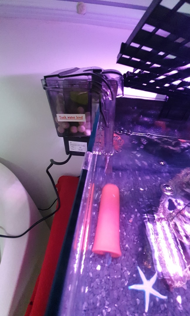 Fish tank filter, Pet Supplies, Homes & Other Pet Accessories on Carousell