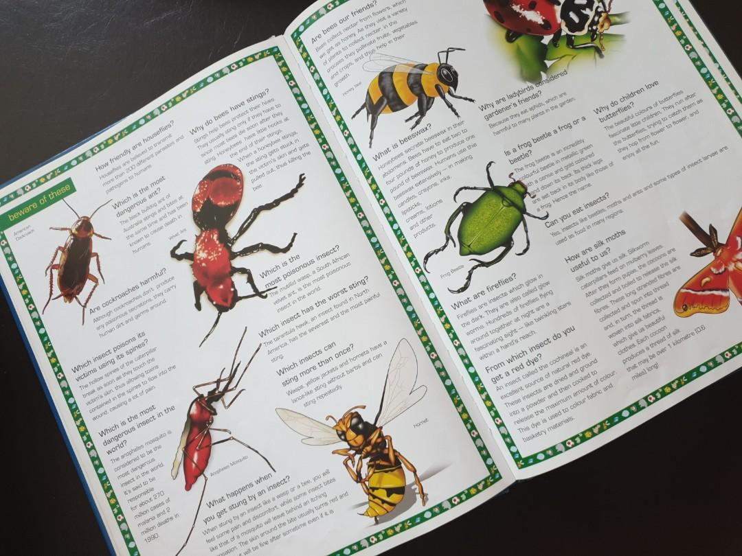 Amazing Animals of the World, Books & Stationery, Children's Books on