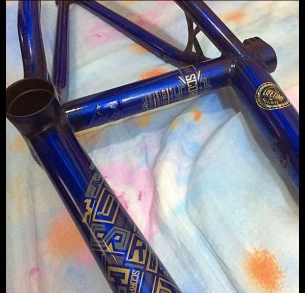 Wtp scorpio top