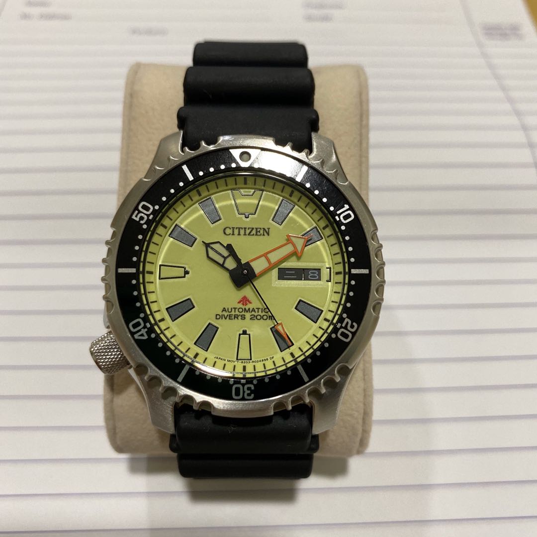 Citizen promaster deals fugu limited