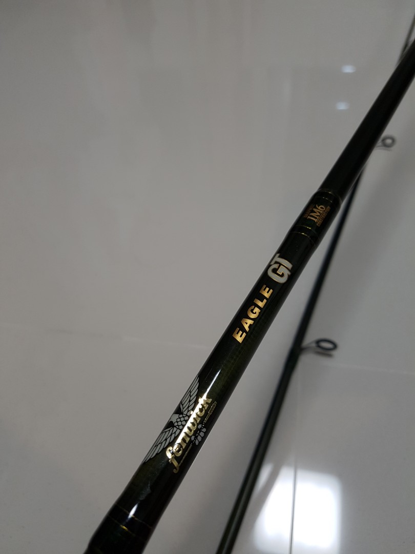 Fenwick Eagle GT IM6 Spinning Rod, Sports Equipment, Fishing on Carousell