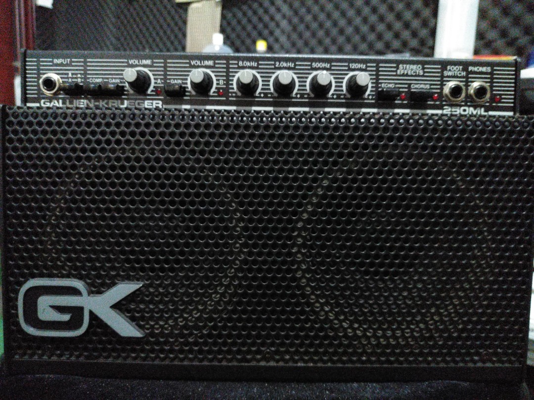 gallien krueger 250ml speakers