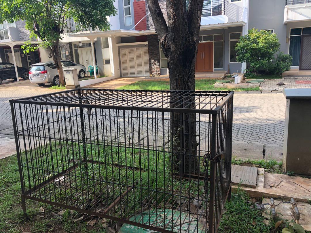 Kandang anjing, Perlengkapan Hewan, Aksesoris Hewan di Carousell