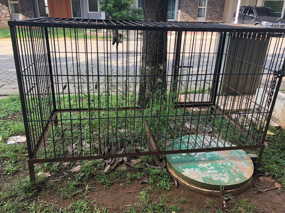 Kandang anjing, Perlengkapan Hewan, Aksesoris Hewan di Carousell