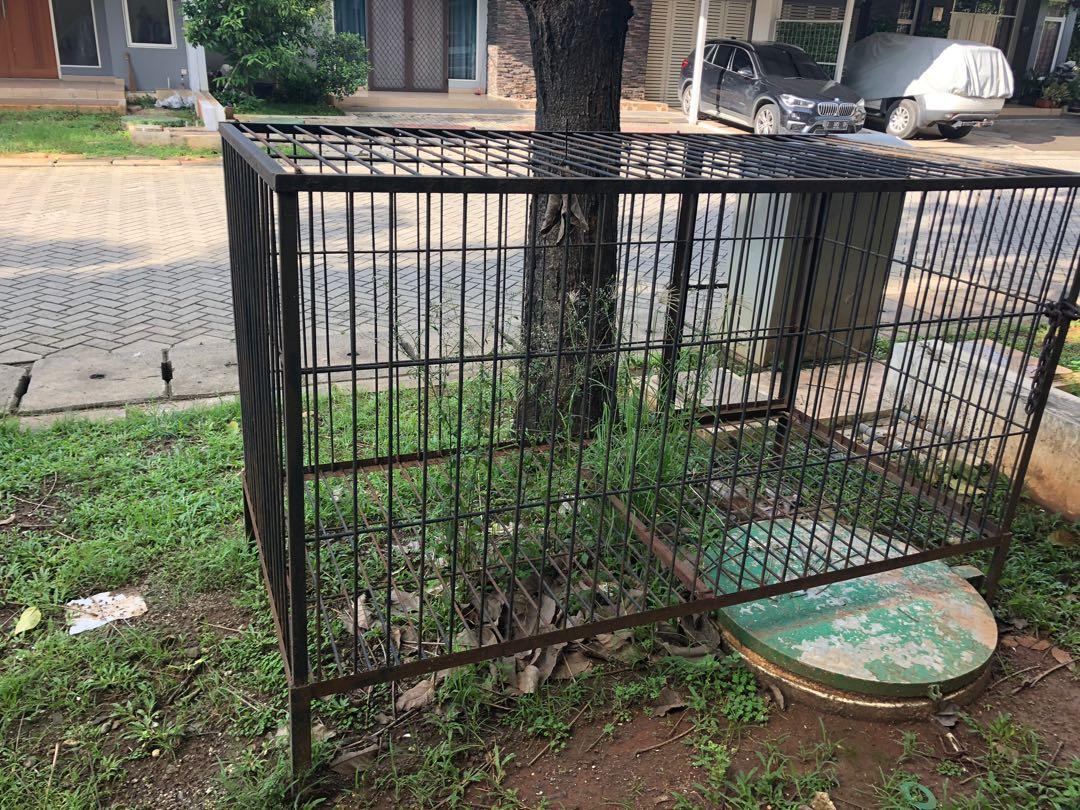 Kandang anjing, Perlengkapan Hewan, Aksesoris Hewan di Carousell