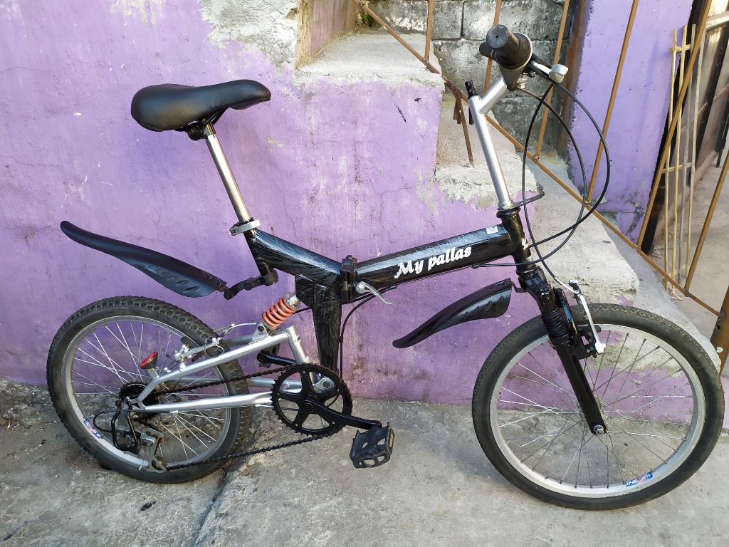 my pallas bicycle