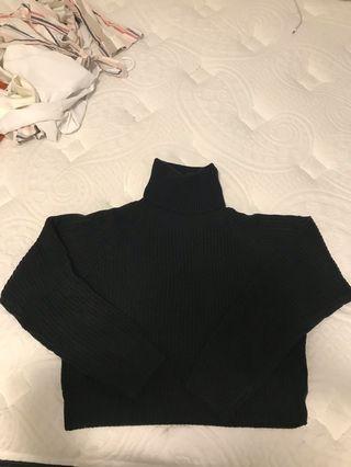 Cropped Sweater (Turtleneck) NWOT