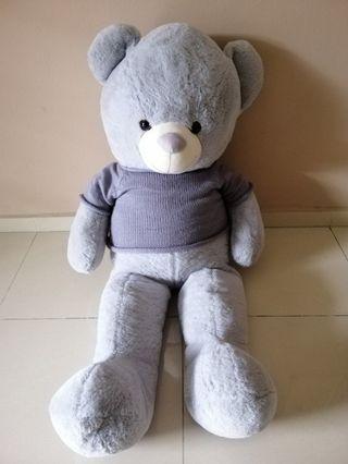 harga teddy bear kaison