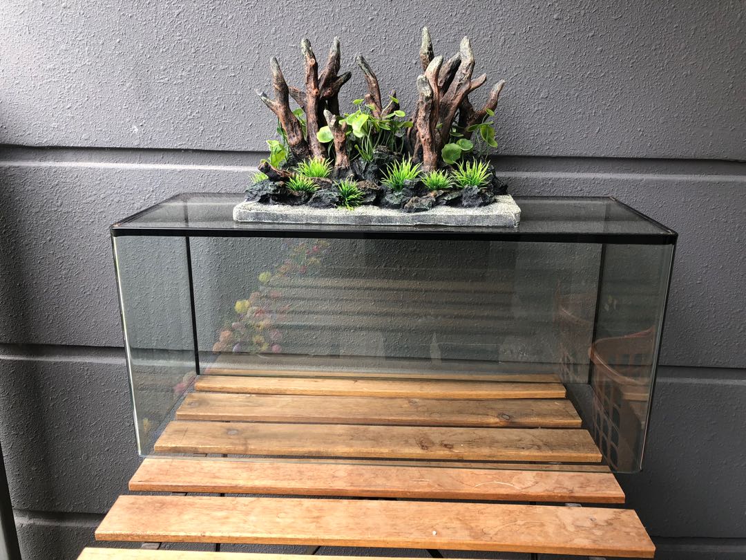 Sengkang Fernvale Fish Tank with free decoration, Pet Supplies, Homes