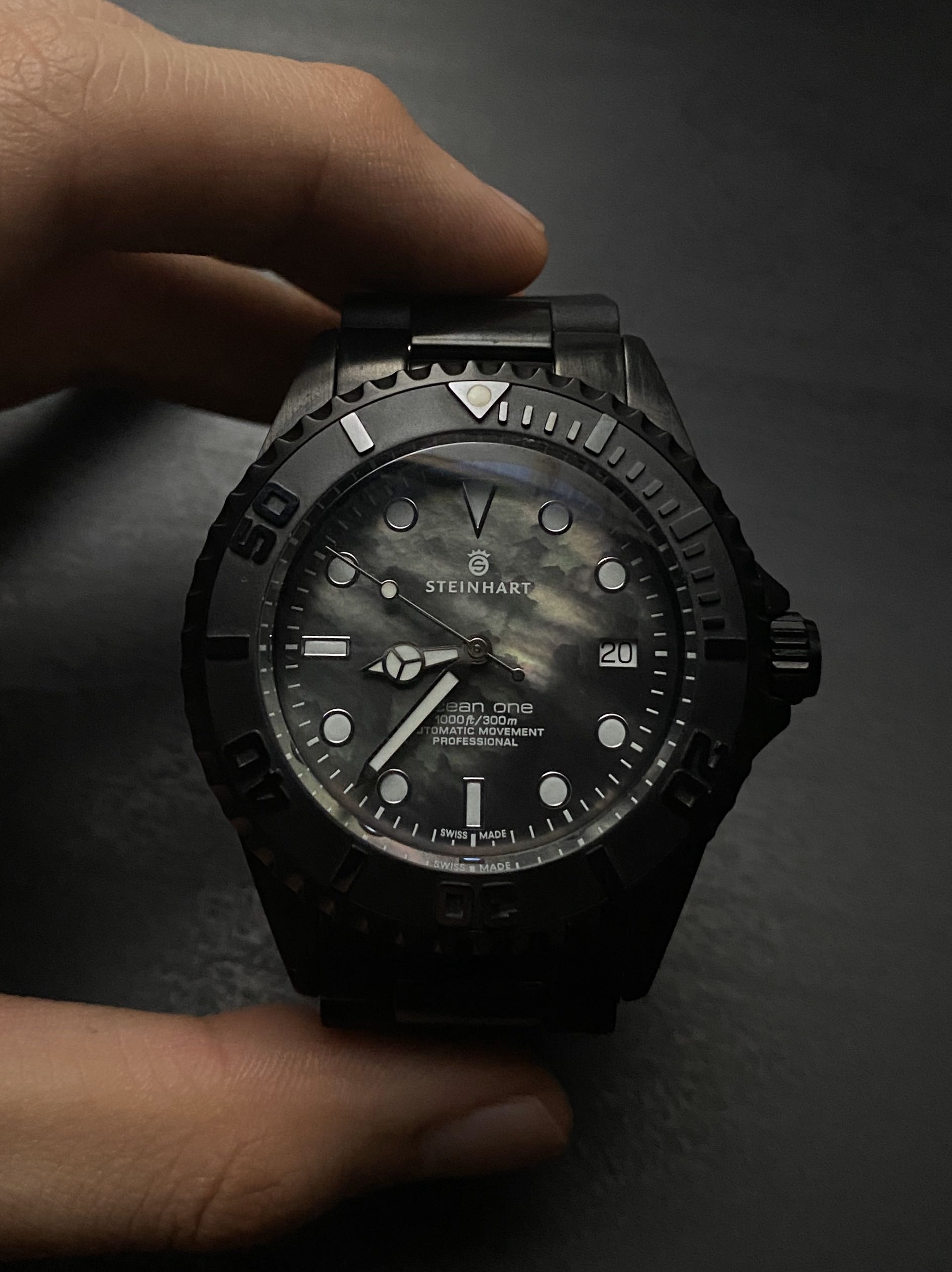 Steinhart ocean black dlc deals