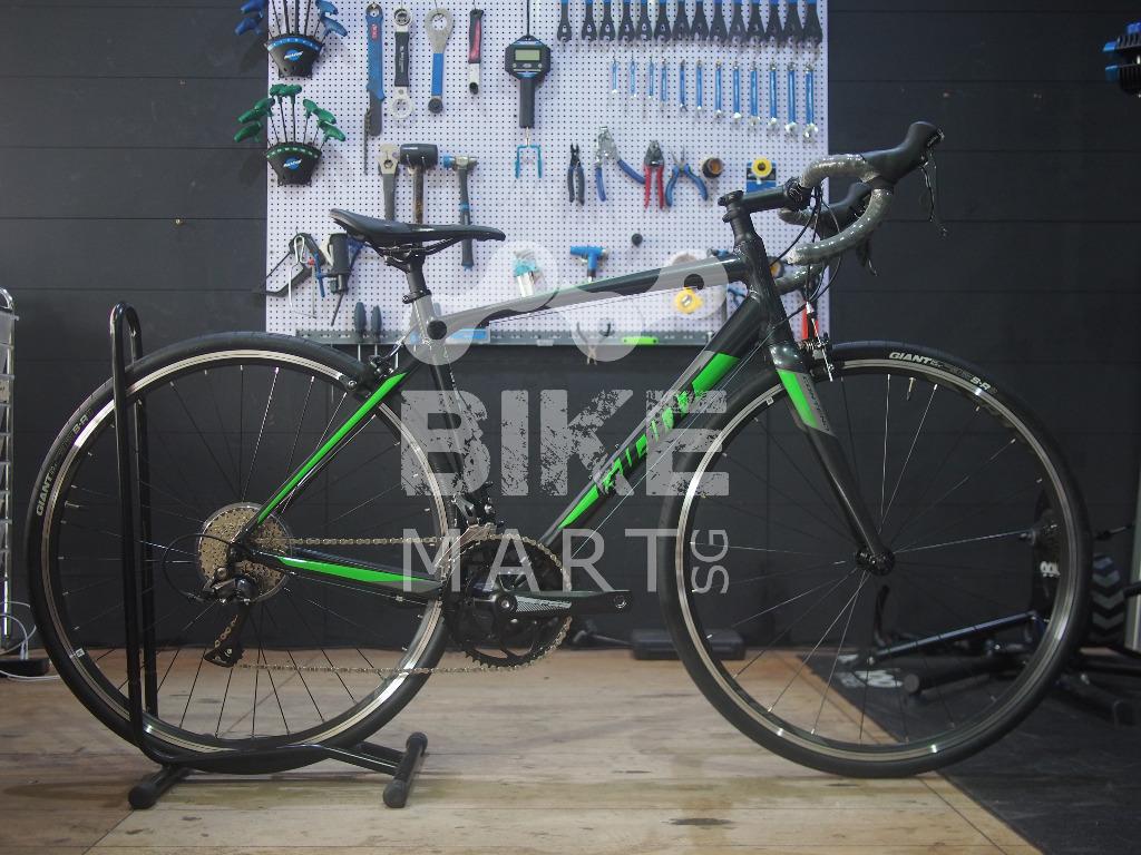 contend sl2 2019