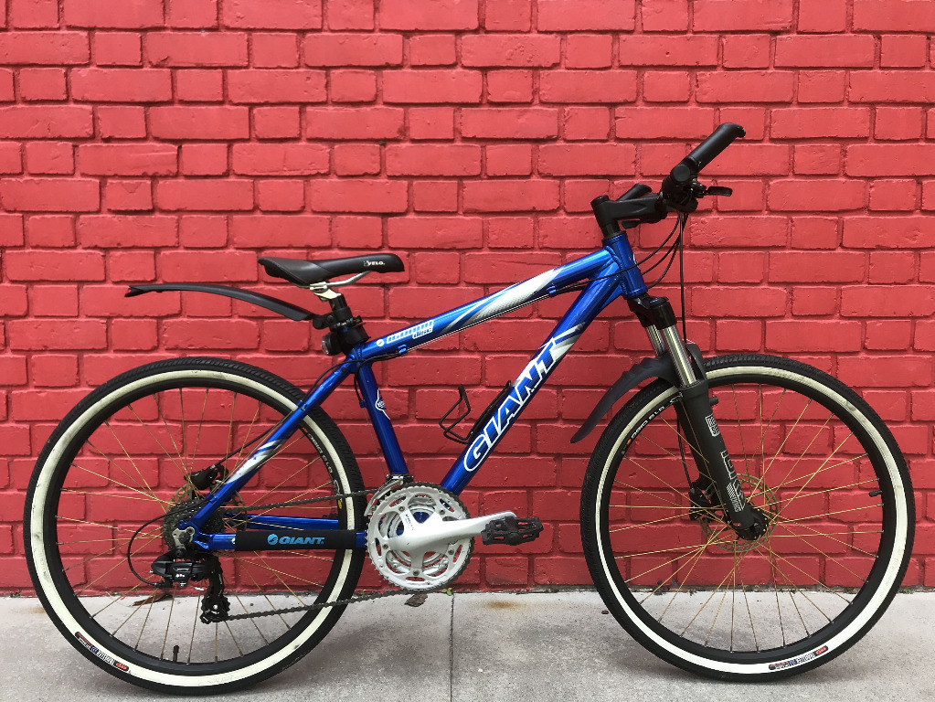 Giant iguana disc price discount