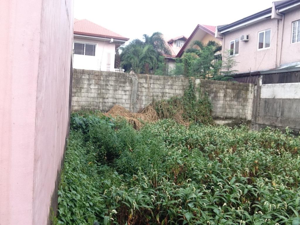 VERMONT PARK Lot for SALE Mayamot Antipolo city 303 SQM, Property, For