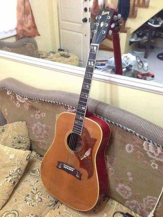 Martin,Gibson, Burny BD85 vintage acoustic guitar