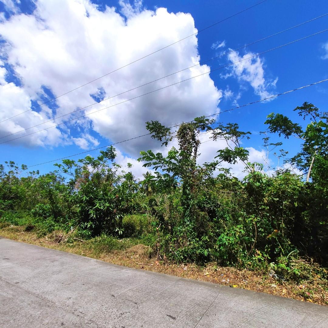 2ha Farm Lot for Sale at Lipa City, Property, For Sale, Lot on Carousell